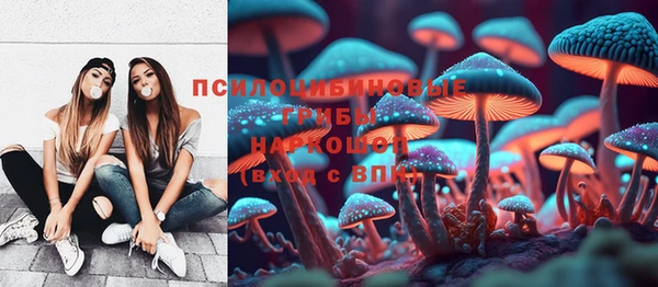 винт Балахна