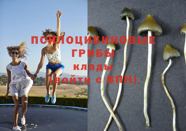 винт Балахна
