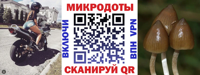 даркнет сайт  Белая Холуница  Галлюциногенные грибы прущие грибы 